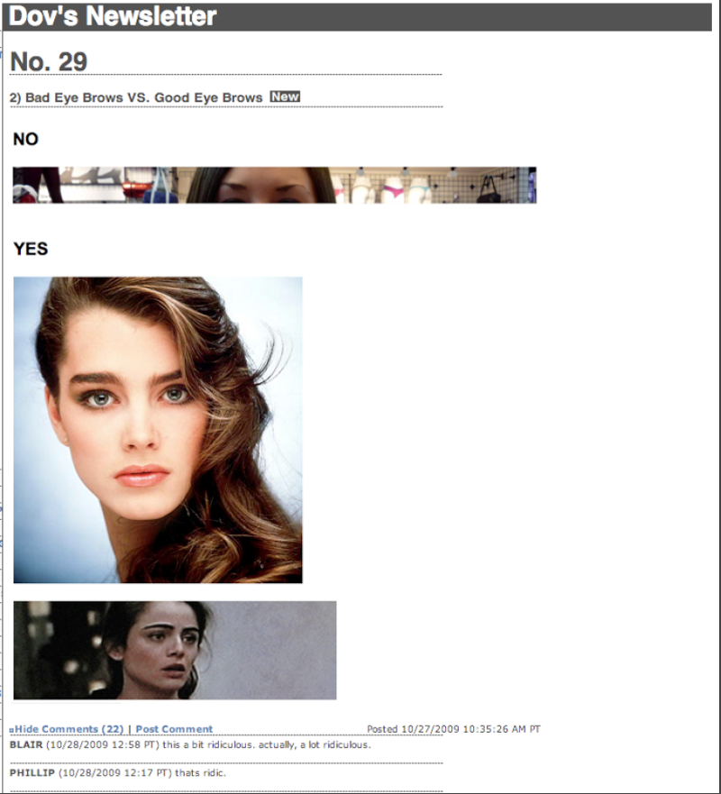 Illustration for article titled American Apparel CEO: Brooke Shields' Eyebrows A Definite "Yes"